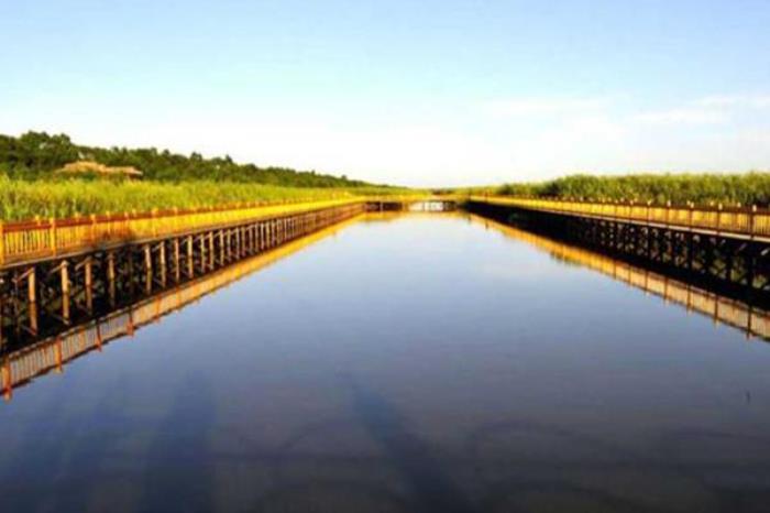 辽河湿地公园 辽河湿地公园