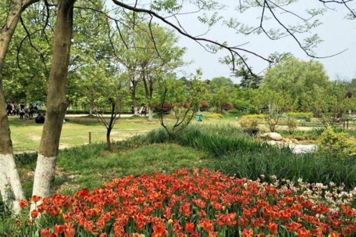 合肥植物园 合肥植物园