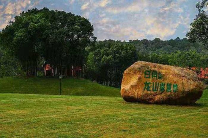 龙山露营地 龙山露营地