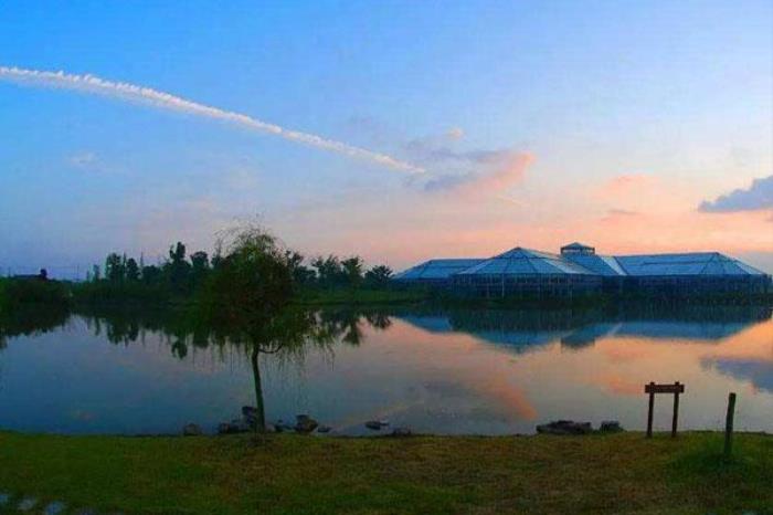 五洲生态园 五洲生态园