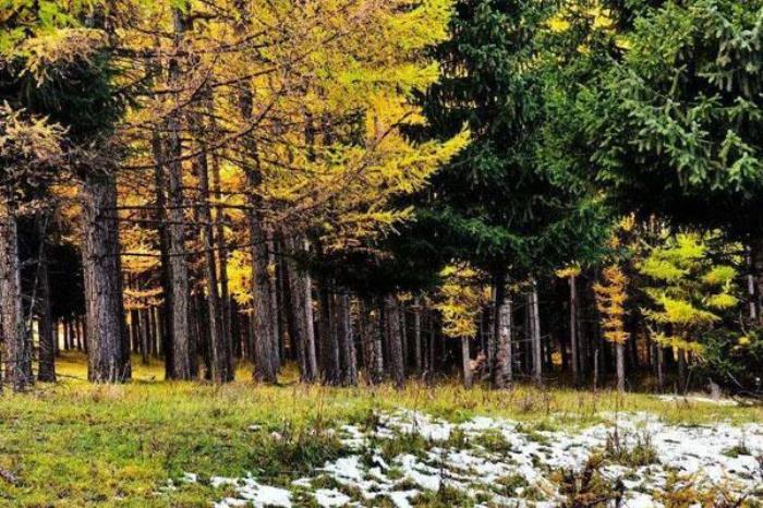 乌苏佛山国家森林公园 乌苏佛山国家森林公园