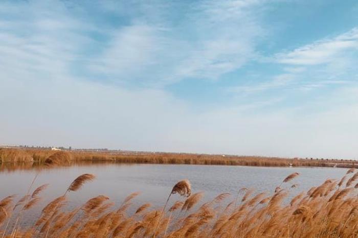 洽川风景区 洽川风景区