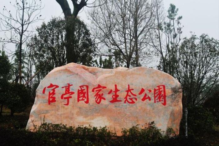 官亭林海景区 官亭林海景区