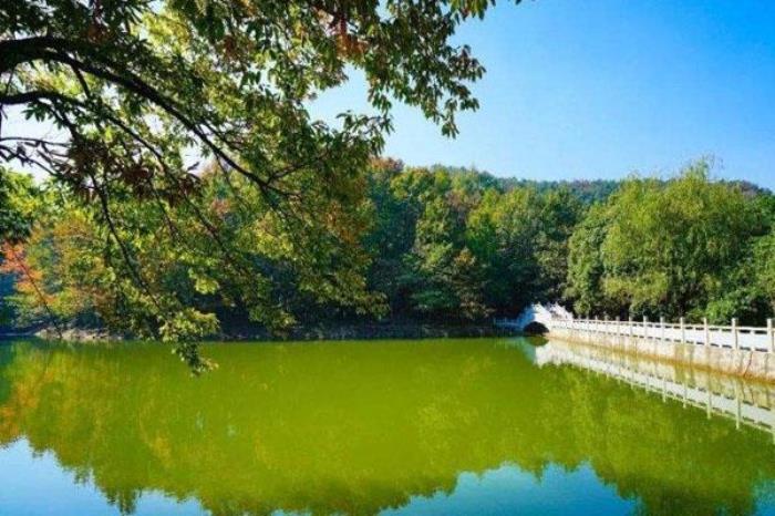 东庵森林公园 东庵森林公园