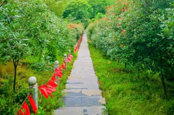 彭山景区 彭山景区