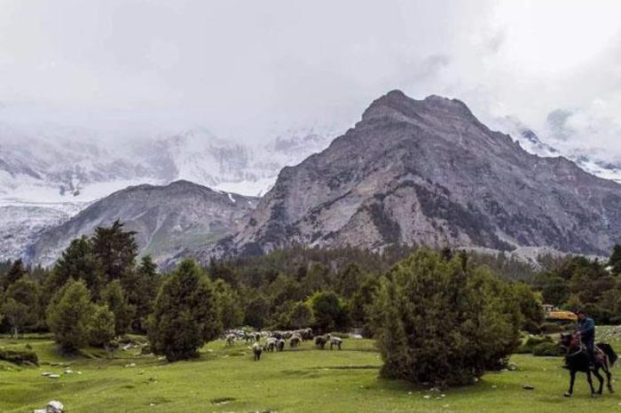 奥依塔克森林公园 奥依塔克森林公园