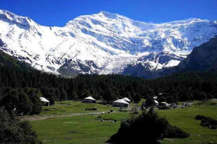 奥依塔克森林公园 奥依塔克森林公园