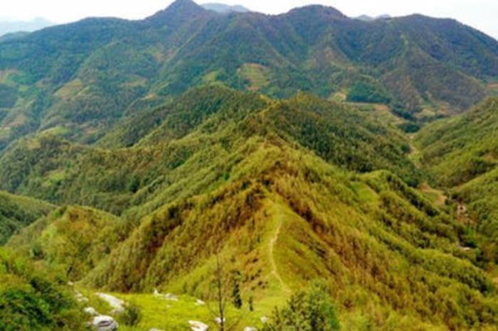 朝阳卧虎岭 朝阳卧虎岭