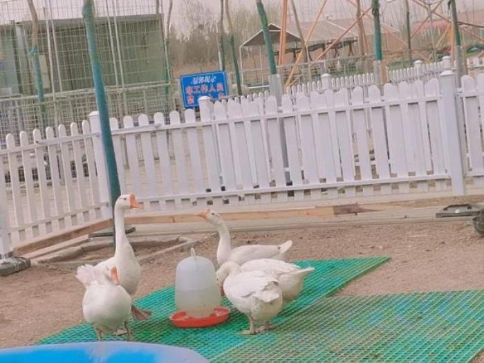 银川阅海滑草场 银川阅海滑草场