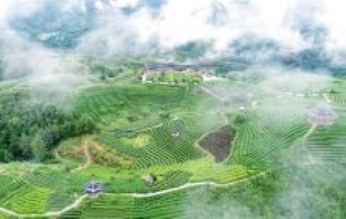 仙人山景区广西景点