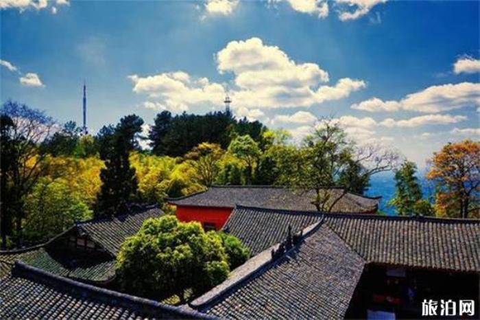金城山 金城山