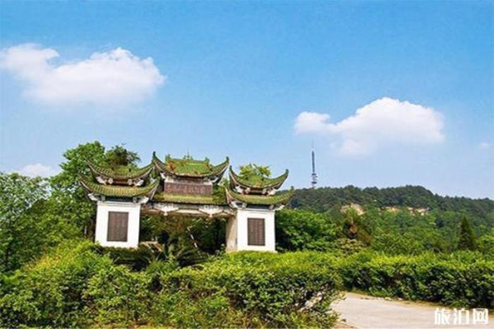 金城山 金城山