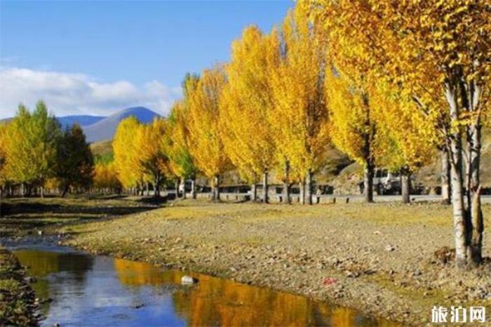 傍河和色拉 傍河和色拉