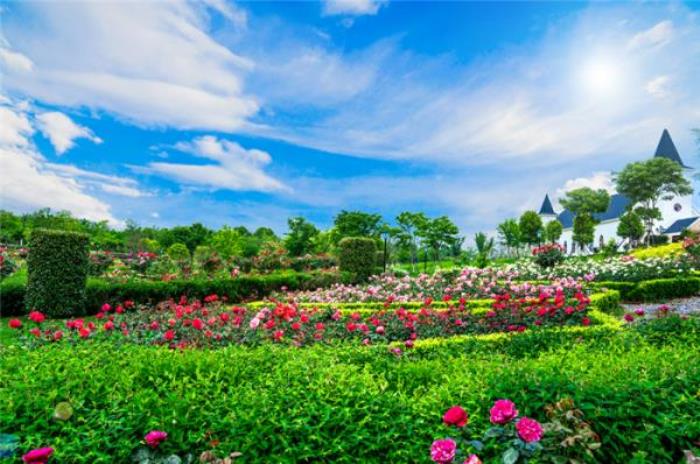 咸宁蜜月湾玫瑰园 咸宁蜜月湾玫瑰园