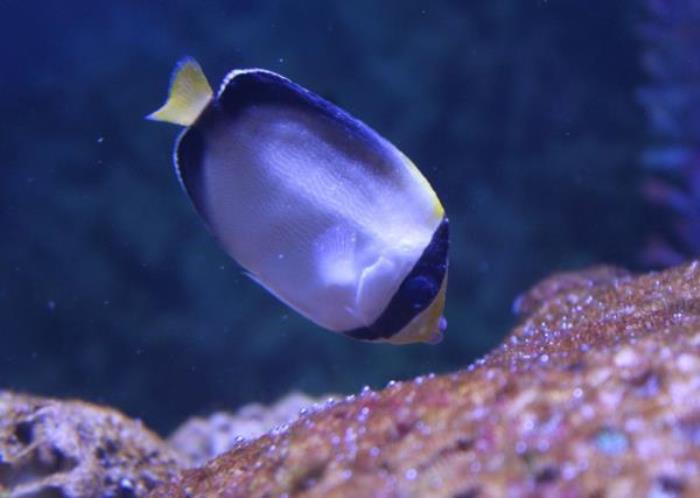 菏泽-三鲨海洋世界 菏泽-三鲨海洋世界