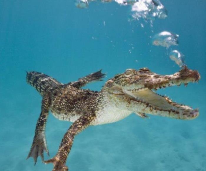 菏泽-三鲨海洋世界 菏泽-三鲨海洋世界