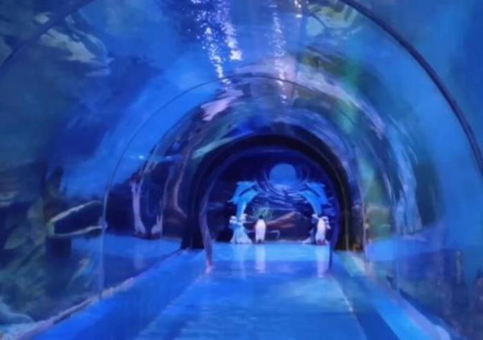 菏泽-三鲨海洋世界 菏泽-三鲨海洋世界