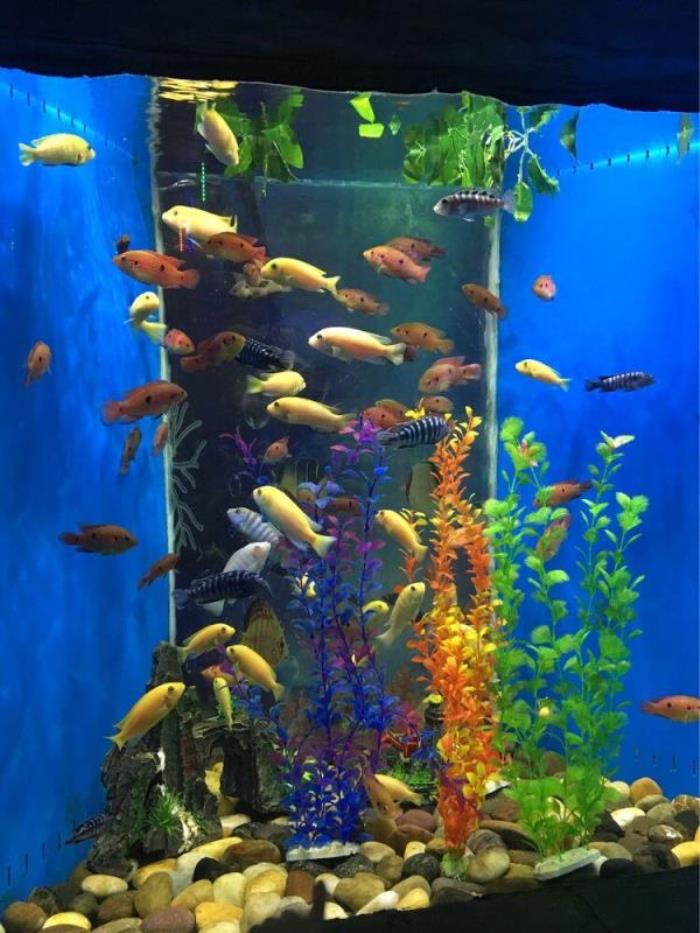 菏泽-三鲨海洋世界 菏泽-三鲨海洋世界