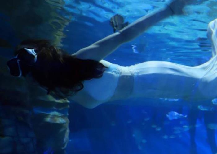 菏泽-三鲨海洋世界 菏泽-三鲨海洋世界