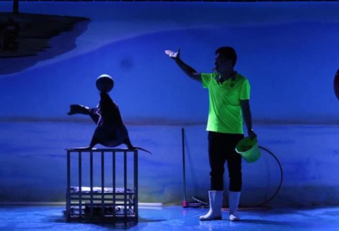 菏泽-三鲨海洋世界 菏泽-三鲨海洋世界