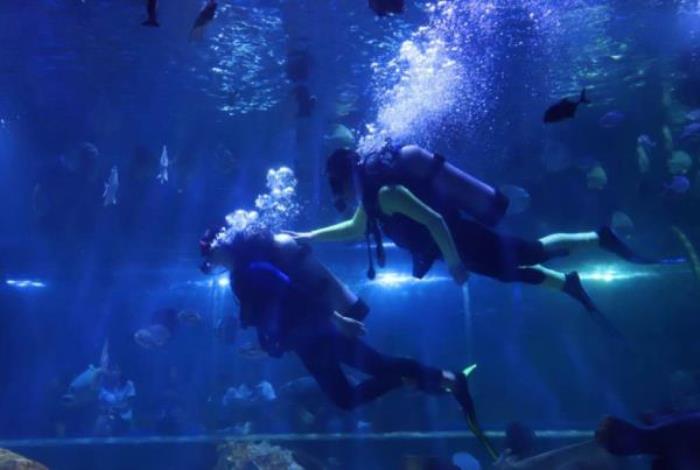 菏泽-三鲨海洋世界 菏泽-三鲨海洋世界