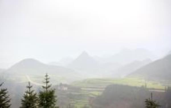 十万大山国家森林公园广西景点
