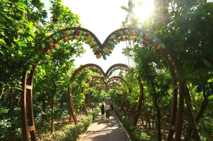 万宁-兴隆热带植物园 万宁-兴隆热带植物园