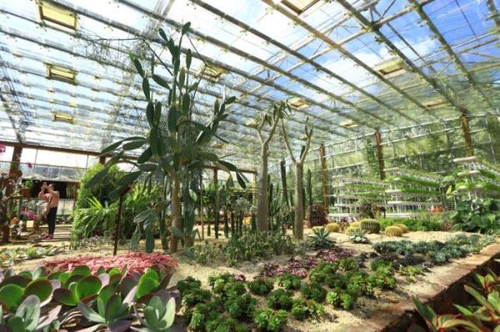 万宁-兴隆热带植物园 万宁-兴隆热带植物园