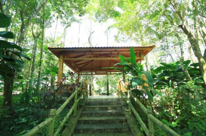 万宁-兴隆热带植物园 万宁-兴隆热带植物园