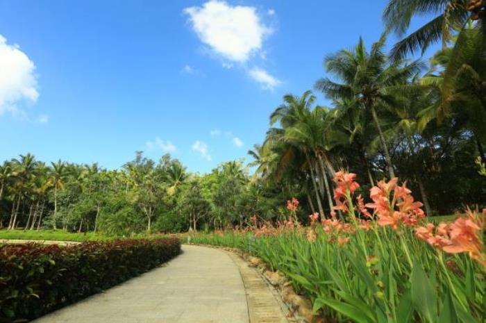 万宁-兴隆热带植物园 万宁-兴隆热带植物园