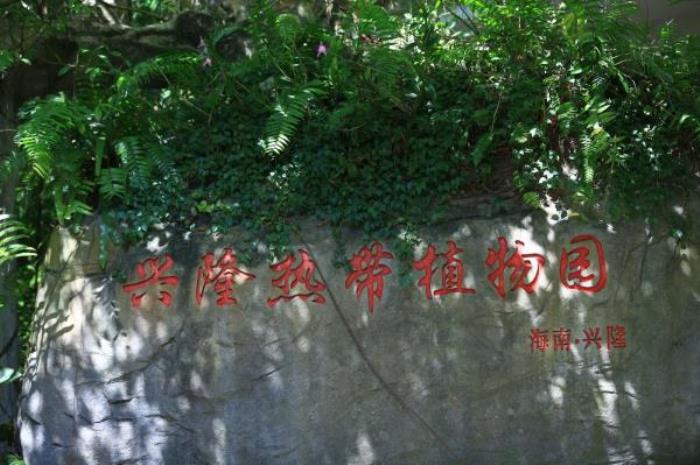 万宁-兴隆热带植物园 万宁-兴隆热带植物园