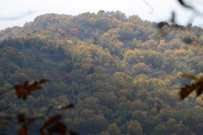 蒲县梅洞山 蒲县梅洞山
