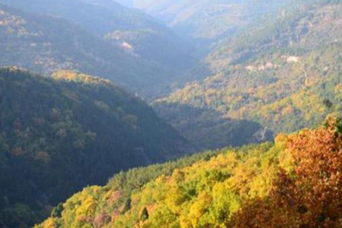 蒲县梅洞山 蒲县梅洞山