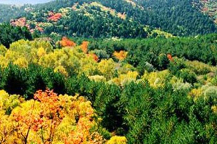 蒲县梅洞山 蒲县梅洞山