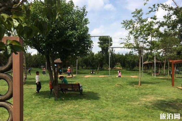 石林万家欢蓝莓庄园 石林万家欢蓝莓庄园