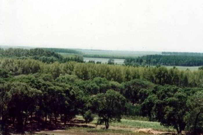 青松山鸡狩猎场 青松山鸡狩猎场