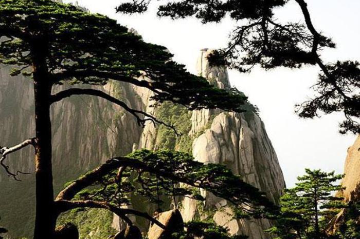 青松山鸡狩猎场 青松山鸡狩猎场