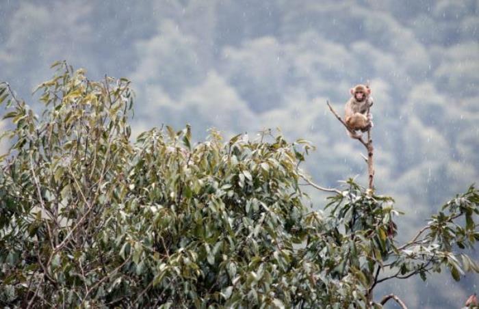 太姥山旅游区 太姥山旅游区