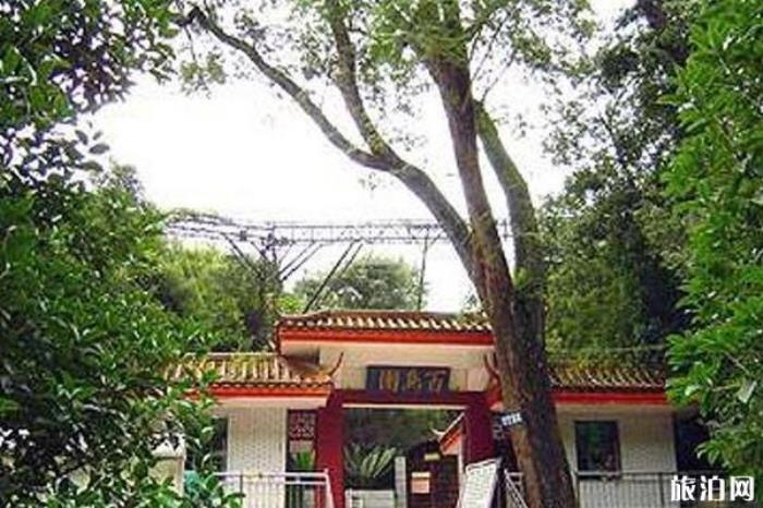 龙泉森林公园 龙泉森林公园