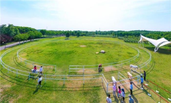 淮安白马湖旅游度假区 淮安白马湖旅游度假区