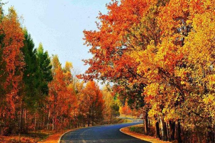 铧子山森林公园 铧子山森林公园