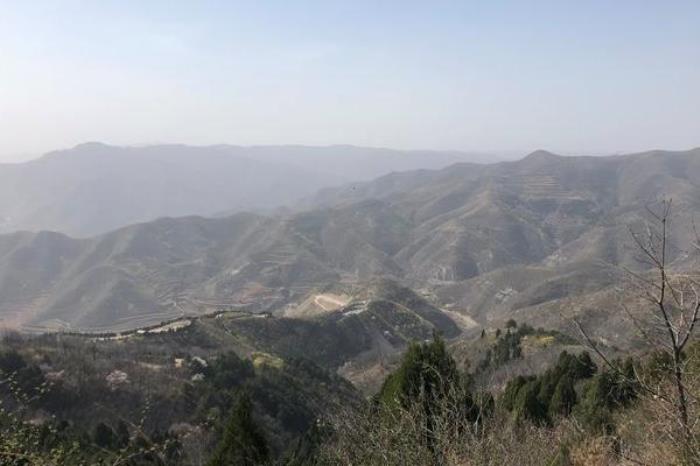 金粟山森林公园 金粟山森林公园