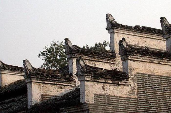 卢家洲 卢家洲