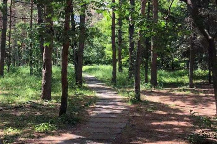 芦溪玉皇山 芦溪玉皇山