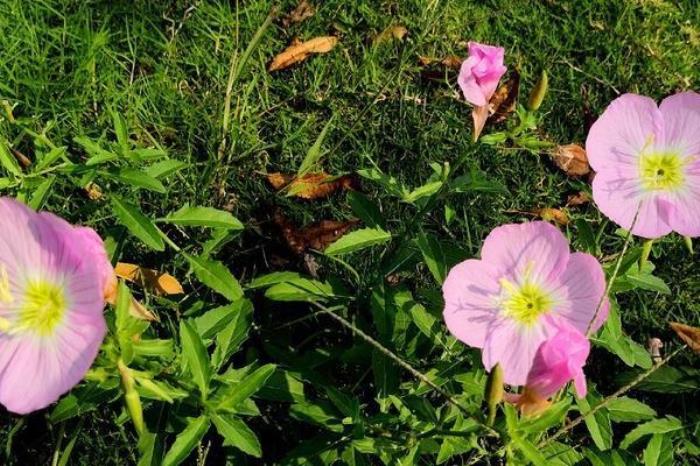 国家文史公园 国家文史公园