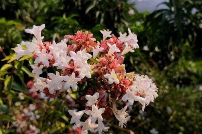 国家文史公园 国家文史公园