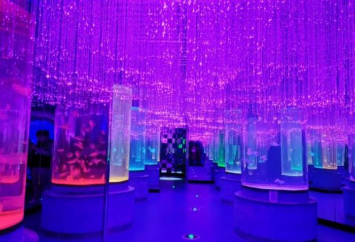 龙宫大白鲸极地海洋馆 龙宫大白鲸极地海洋馆