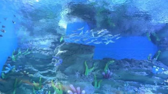 龙宫大白鲸极地海洋馆 龙宫大白鲸极地海洋馆