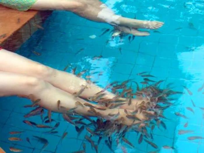 金孔雀温泉旅游度假村 金孔雀温泉旅游度假村