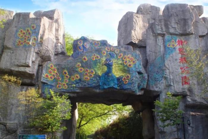 金孔雀温泉旅游度假村 金孔雀温泉旅游度假村